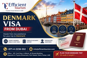 Reliable Denmark Visa from Dubai Support for UAE Residents – Efficient Tourism