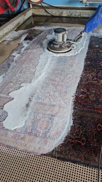Al Barsha sofa carpet rugs mattress deep cleaning