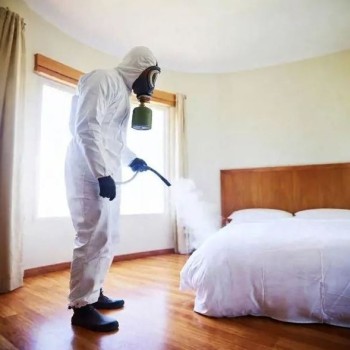 Bed Bug Pest Control Services