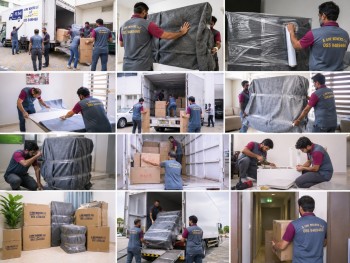 A One Movers LLC, Ajman