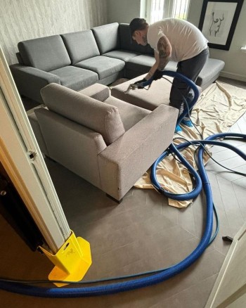 House Office Carpet And Sofa Shampooing Cleaning Shampooing