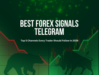 Best Forex Signals Telegram Channels | Carlos and Company