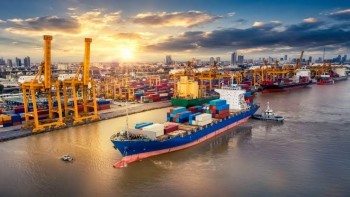Sea Freight Services Dubai | Figure Shipping