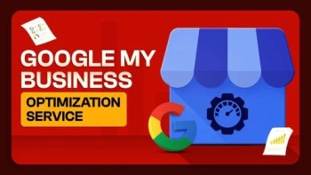 Service Clé en Main Google Business | Expert Visibilité Locale