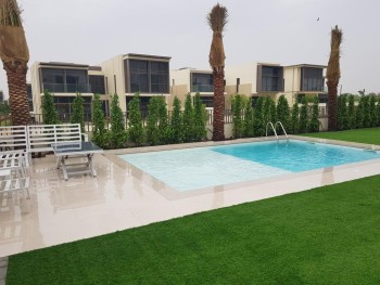 Wajid Ali Landscap and Swimming Pool – Landscaping & Pool Cleaning Dubai