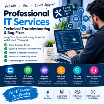 Professional IT Services, Technical Troubleshooting & Bug Fixes