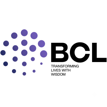 VAT Consultancy Services Dubai | Internal Audit & Transaction Advisory | BCL Globiz