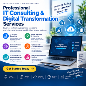 Professional IT Consulting & Digital Transformation Services