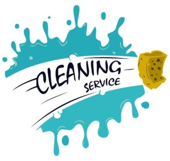Professional sofa carpet cleaning just one