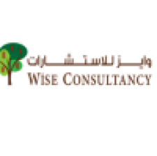 Wise Consultancy - avatar