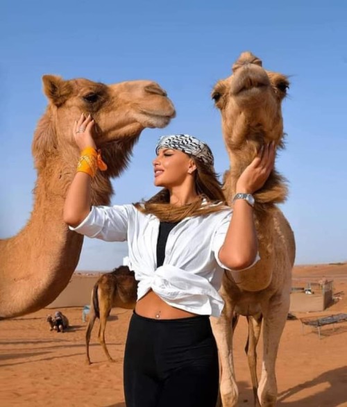 DUBAI DESERT SAFARI - avatar