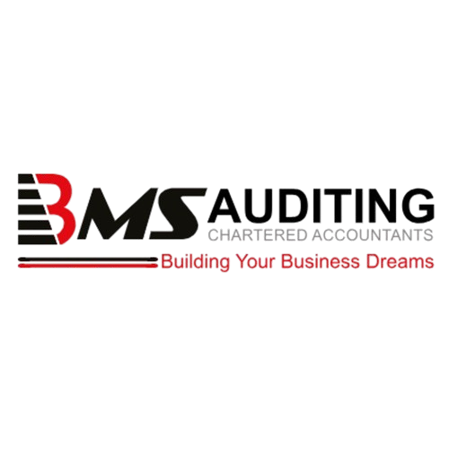 BMS Auditing - avatar