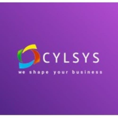 Cylsys Software Solution Pvt Ltd - avatar