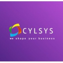 Cylsys Software Solution Pvt Ltd - avatar