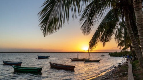 Mozambique eVisa - avatar