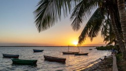 Mozambique eVisa - avatar