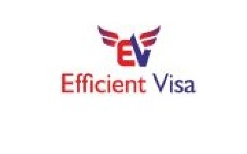 Efficient Visa - avatar