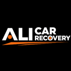 ali car recovery - avatar